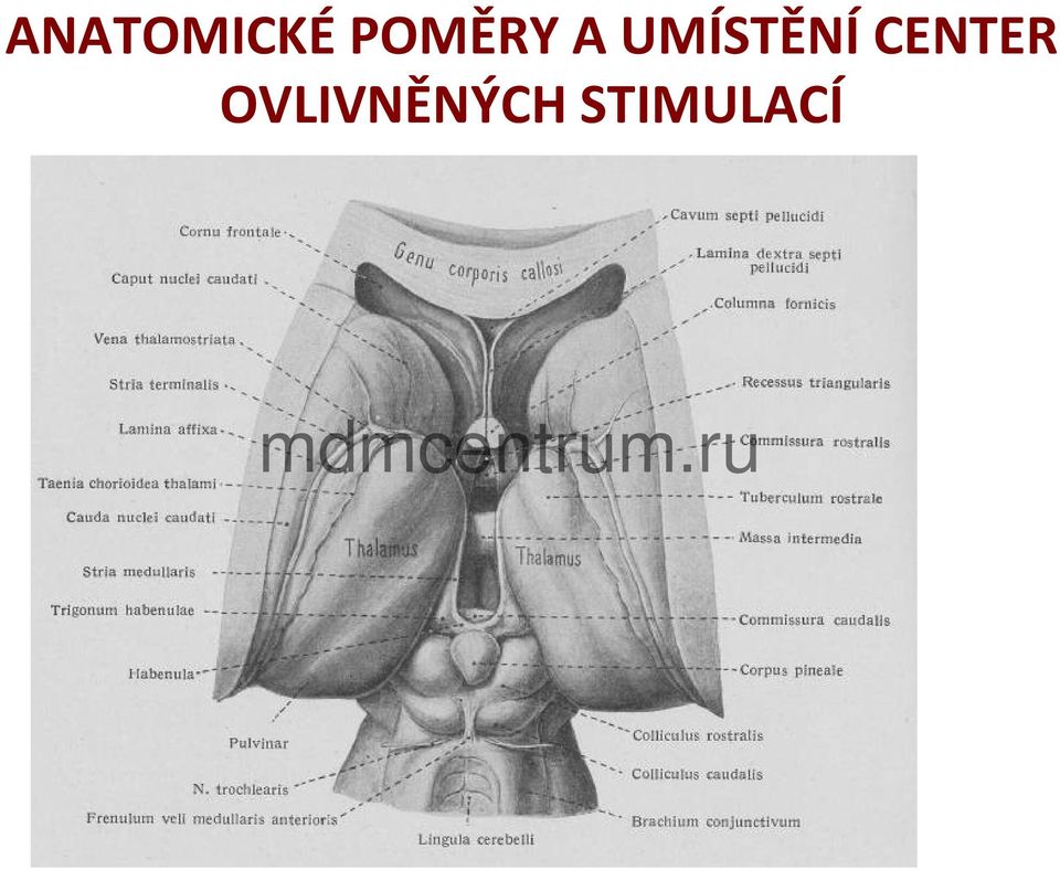 UMÍSTĚNÍ