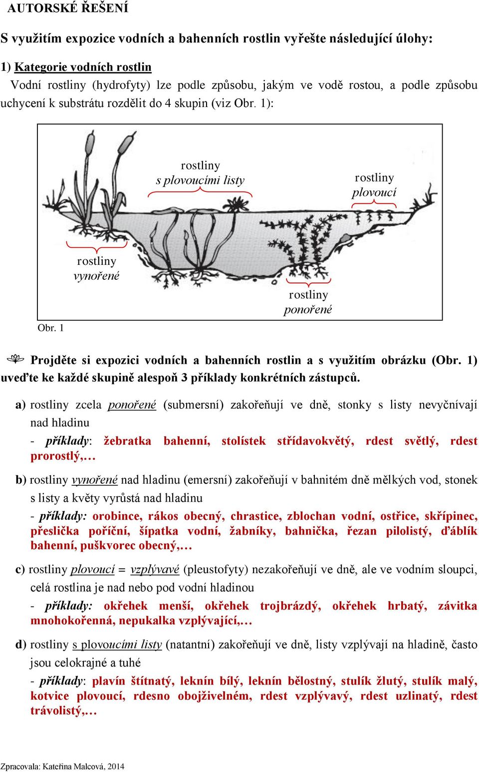 1 rostliny vynořené rostliny ponořené Projděte si expozici vodních a bahenních rostlin a s využitím obrázku (Obr. 1) uveďte ke každé skupině alespoň 3 příklady konkrétních zástupců.