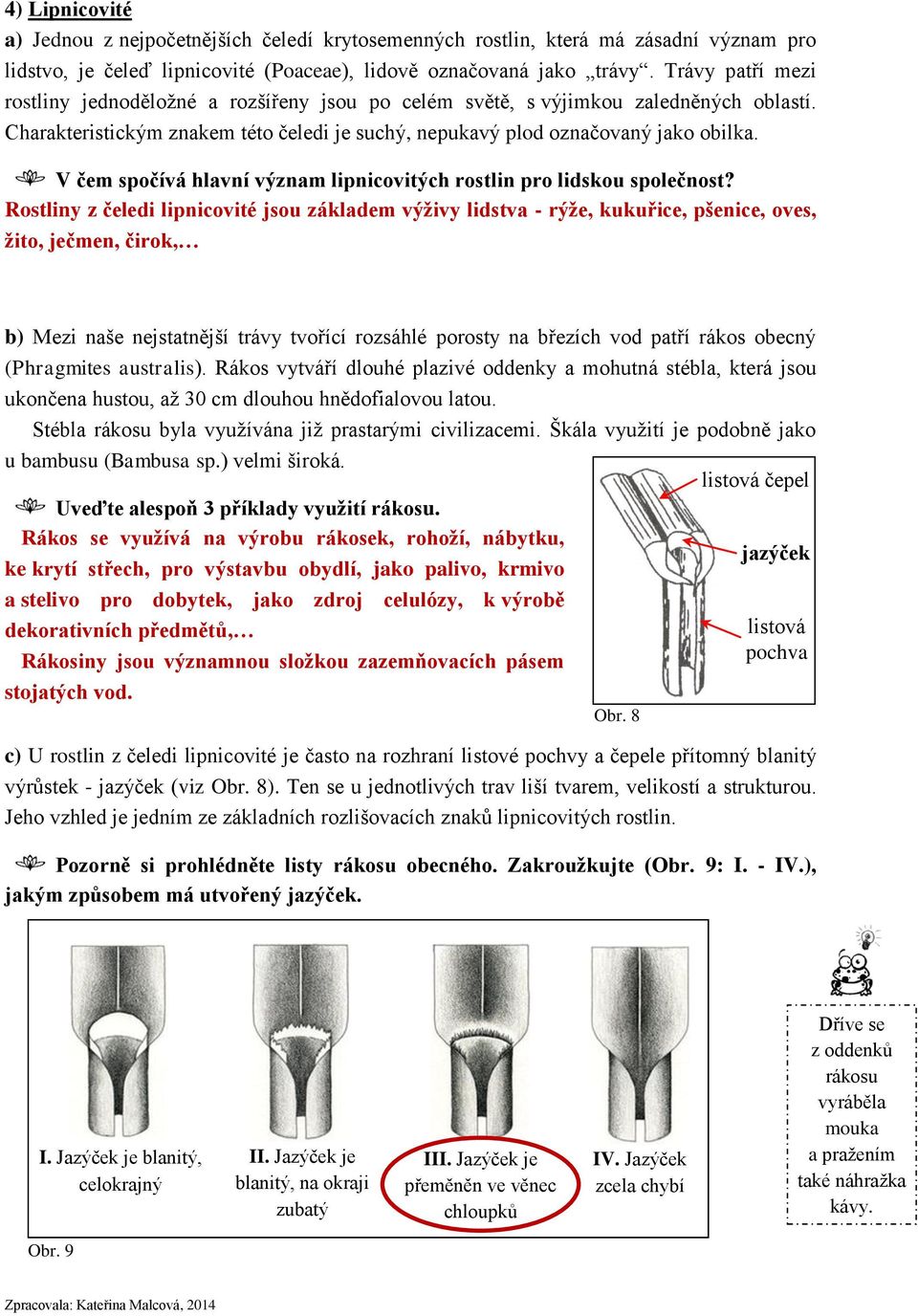 V čem spočívá hlavní význam lipnicovitých rostlin pro lidskou společnost?