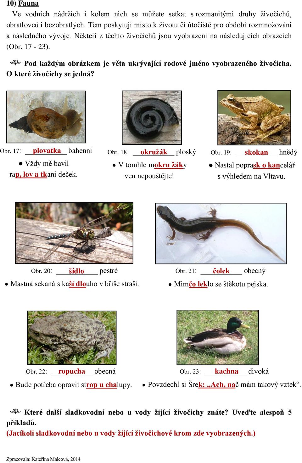 Pod každým obrázkem je věta ukrývající rodové jméno vyobrazeného živočicha. O které živočichy se jedná? Obr. 17: plovatka bahenní Obr. 18: okružák ploský Obr.