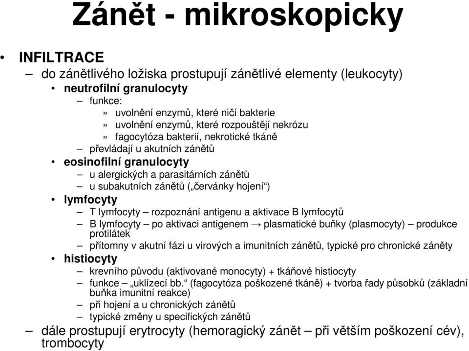 T lymfocyty rozpoznání antigenu a aktivace B lymfocytů B lymfocyty po aktivaci antigenem plasmatické buňky (plasmocyty) produkce protilátek přítomny v akutní fázi u virových a imunitních zánětů,