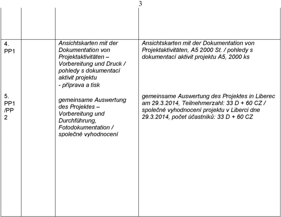 gemeinsame Auswertung des Projektes Vorbereitung und Durchführung, Fotodokumentation / společné vyhodnocení projektu příprava a realizace,