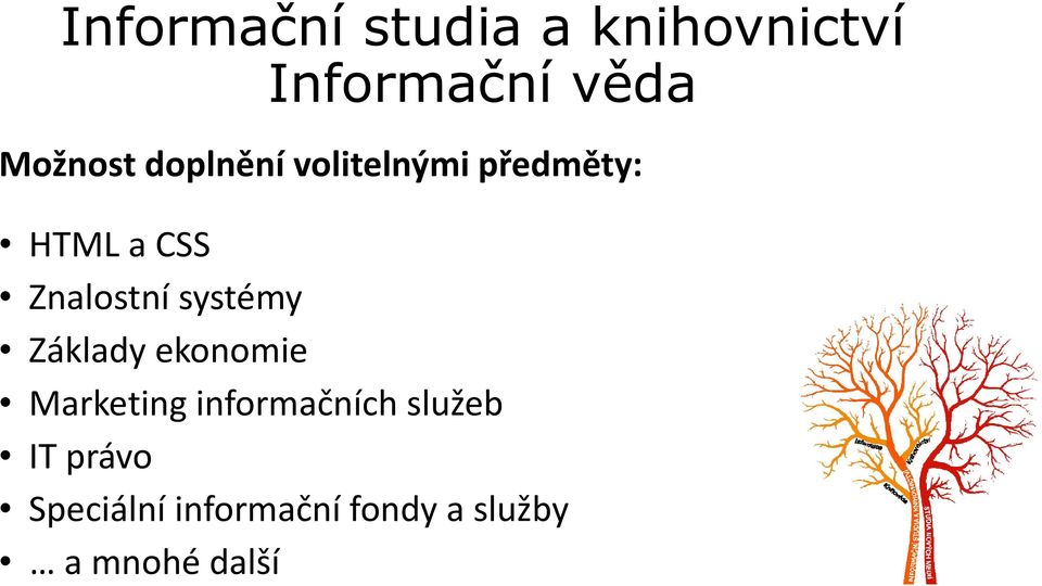 ekonomie Marketing informačních služeb IT právo