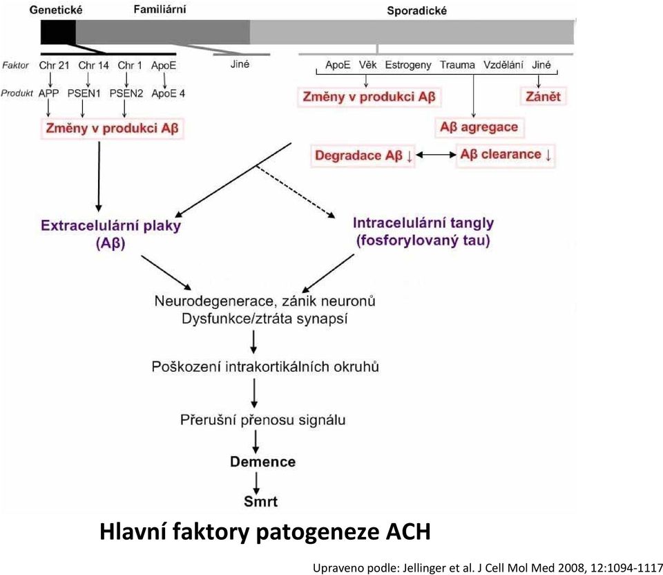 podle: Jellinger et al.