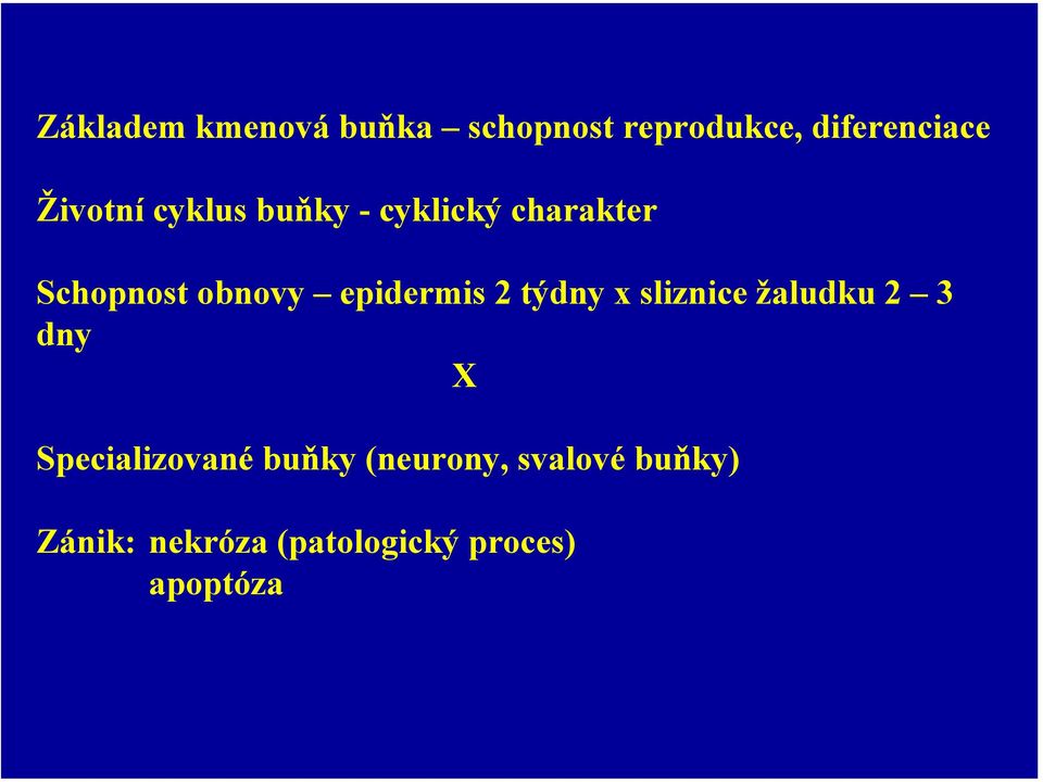 epidermis 2 týdny x sliznice žaludku 2 3 dny X Specializované
