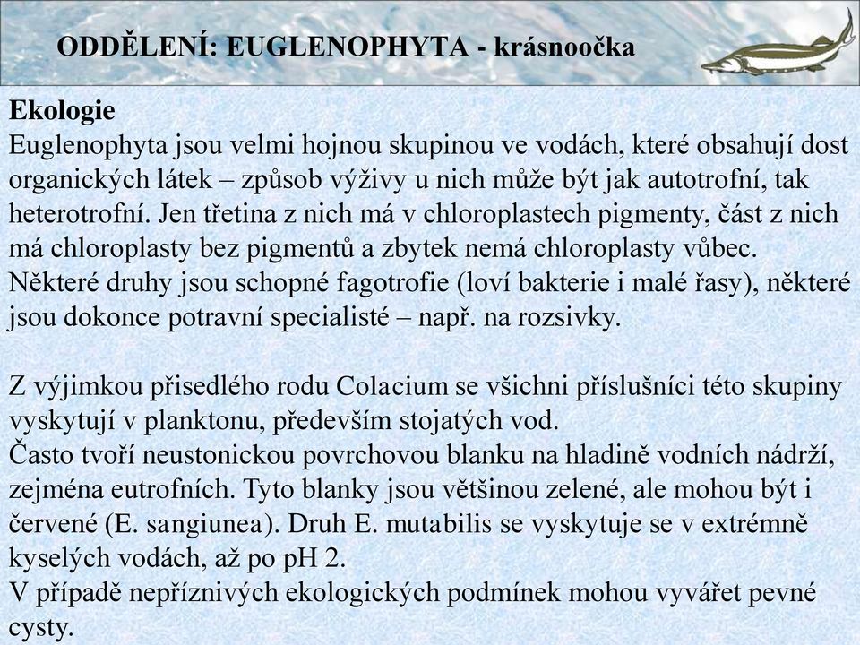 mutabilis se vyskytuje se v extrémně kyselých vodách, až po ph 2. V případě nepříznivých ekologických podmínek mohou vyvářet pevné cysty.