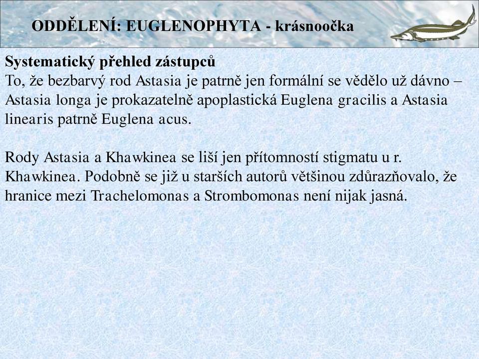 linearis patrně Euglena acus. Rody Astasia a Khawkinea 