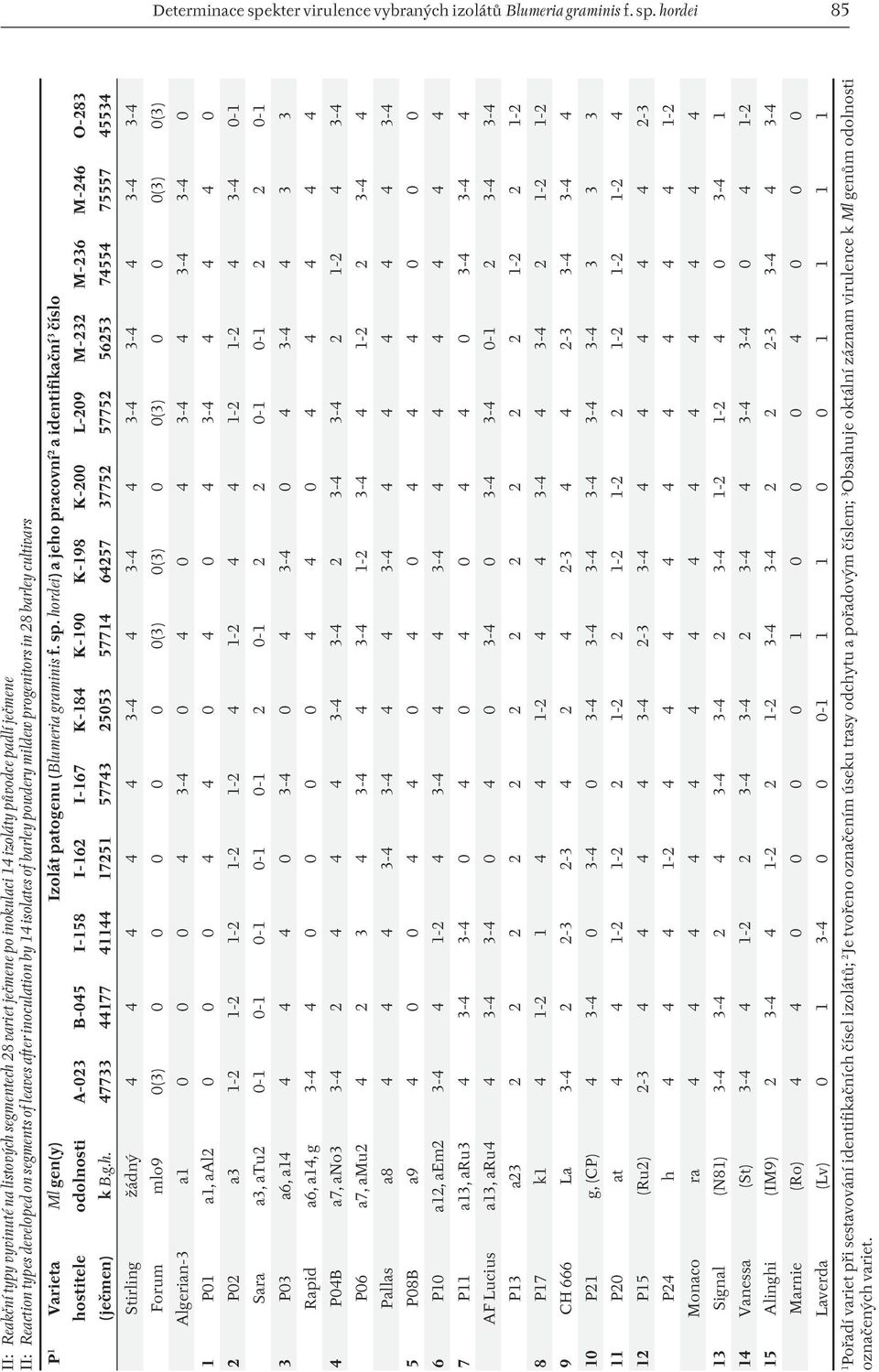 hordei 85 II: Reakční typy vyvinuté na listových segmentech 28 variet ječmene po inokulaci 14 izoláty původce padlí ječmene II: Reaction types developed on segments of leaves after inoculation by 14