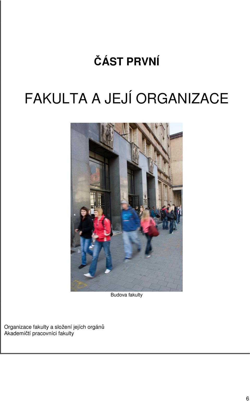 Organizace fakulty a složení