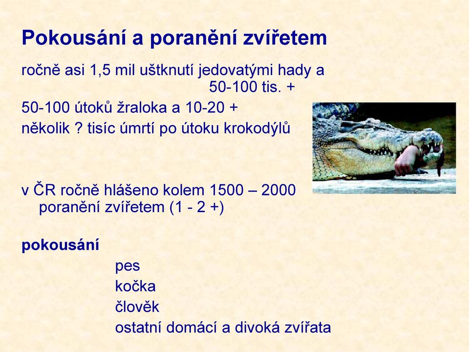 tisíc úmrtí po útoku krokodýlů v ČR ročně hlášeno kolem 1500 2000