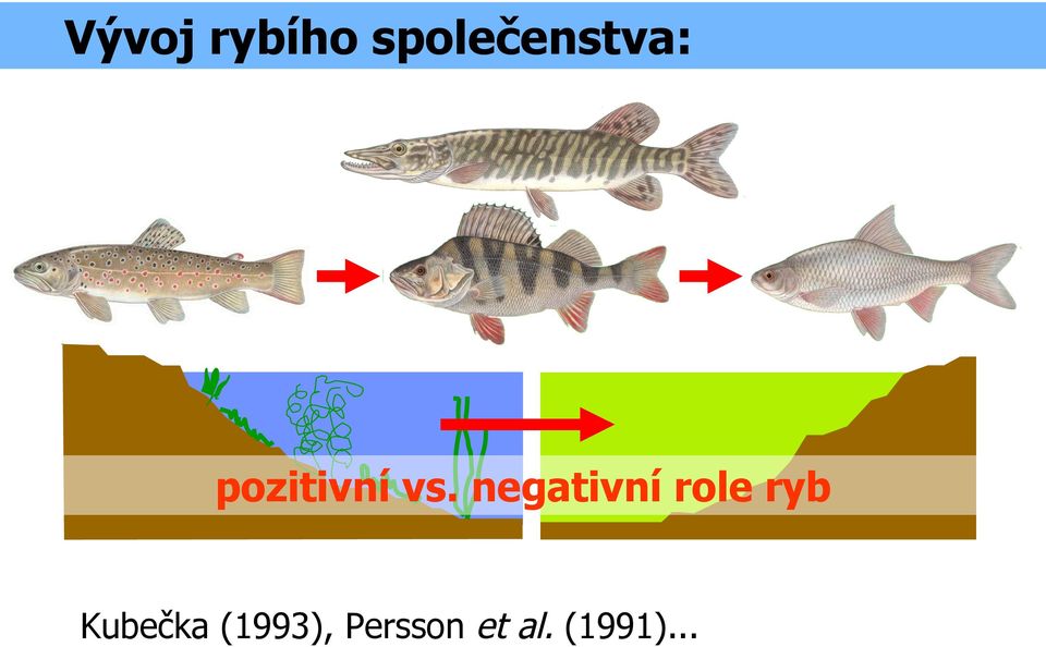 vs. negativní role ryb