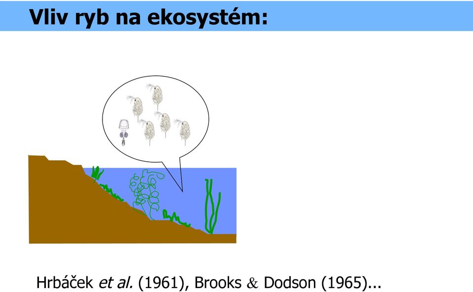 Hrbáček et al.