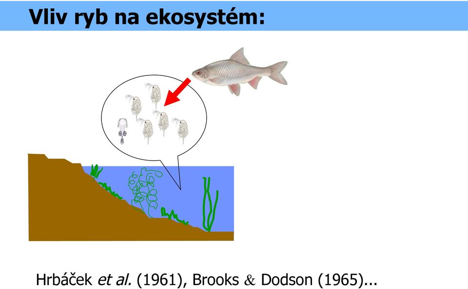 Hrbáček et al.