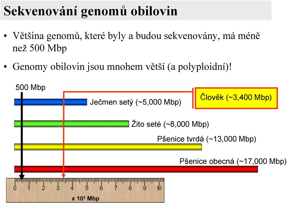 polyploidní)!