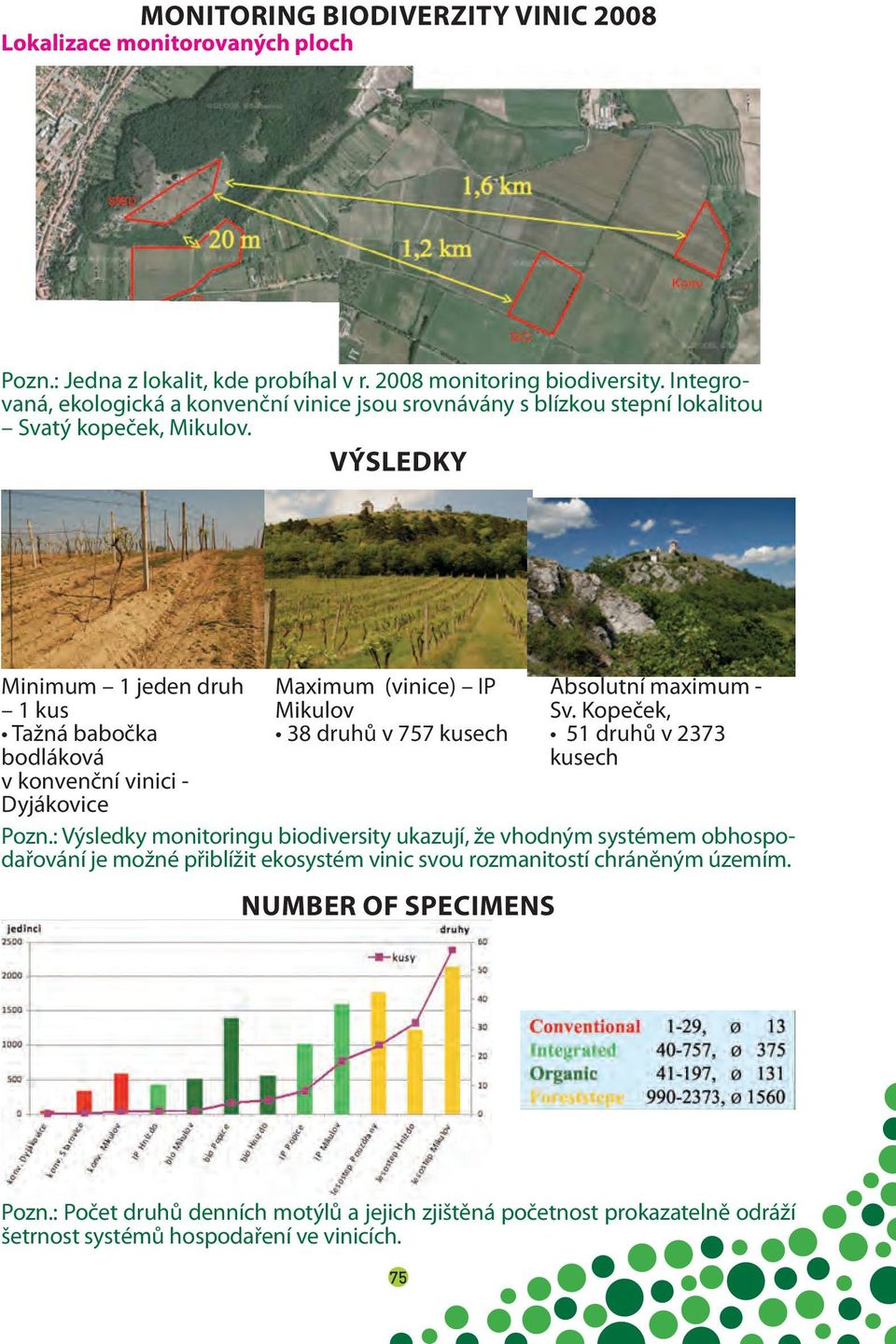 VÝSLEDKY Minimum 1 jeden druh 1 kus Tažná babočka bodláková v konvenční vinici - Dyjákovice Maximum (vinice) IP Mikulov 38 druhů v 757 kusech Absolutní maximum - Sv.