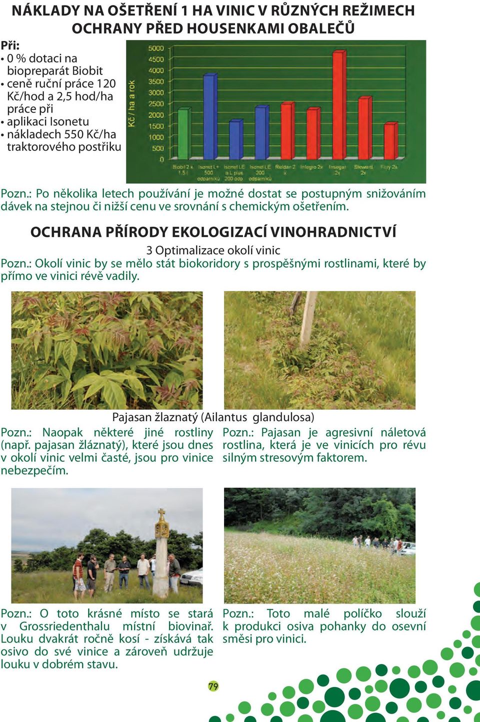 OCHRANA PŘÍRODY EKOLOGIZACÍ VINOHRADNICTVÍ 3 Optimalizace okolí vinic Pozn.: Okolí vinic by se mělo stát biokoridory s prospěšnými rostlinami, které by přímo ve vinici révě vadily.