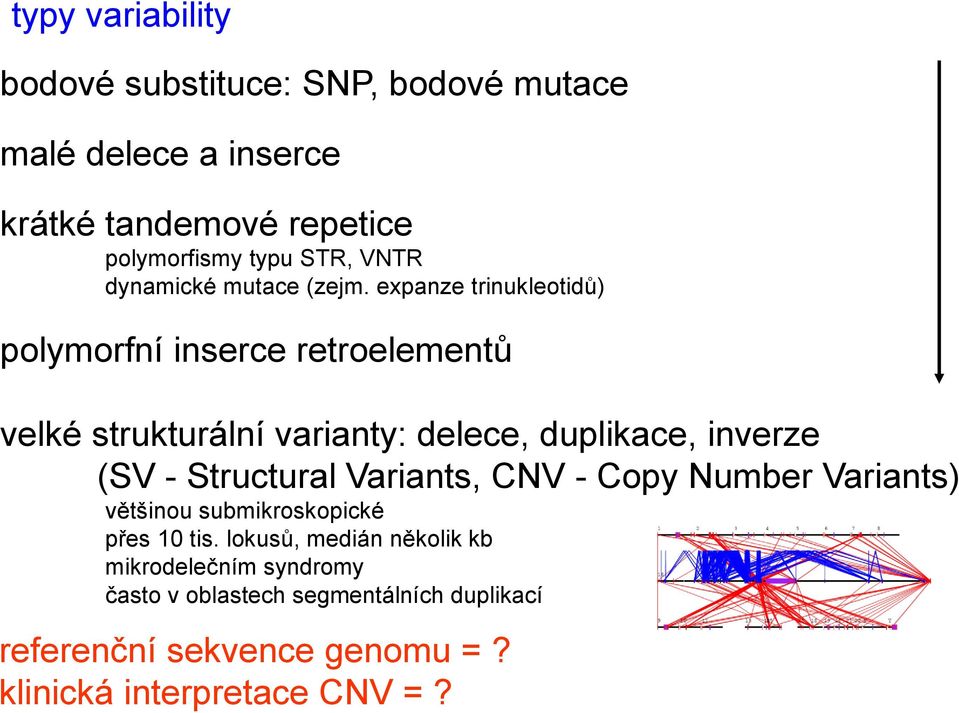 expanze trinukleotidů) polymorfní inserce retroelementů velké strukturální varianty: delece, duplikace, inverze (SV -