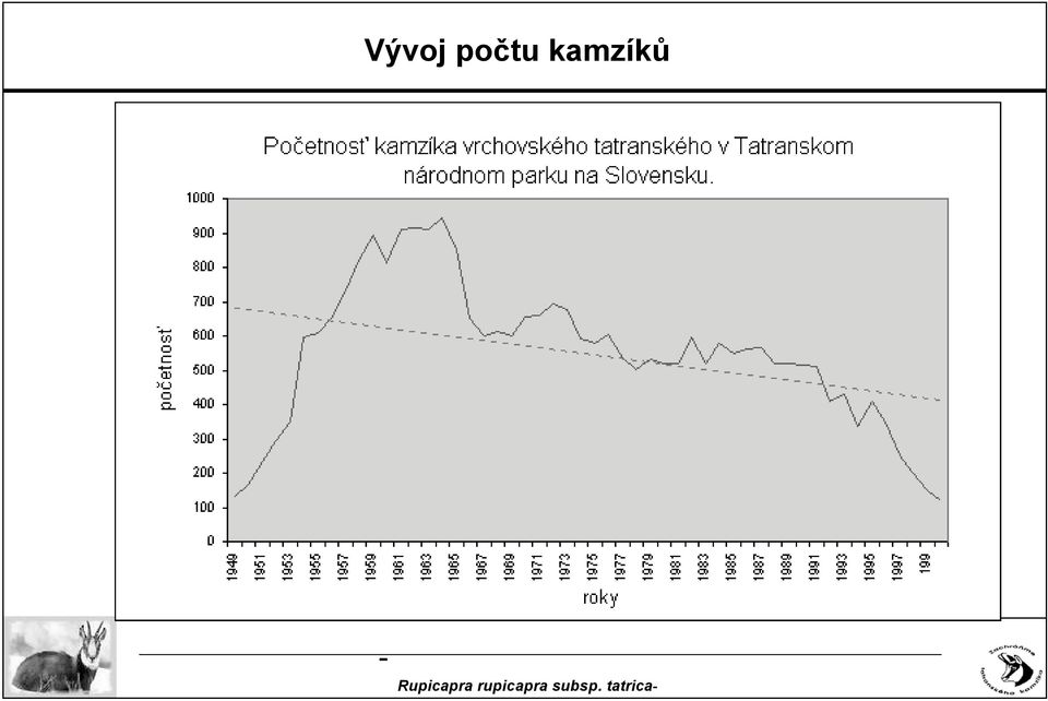 kamzíků