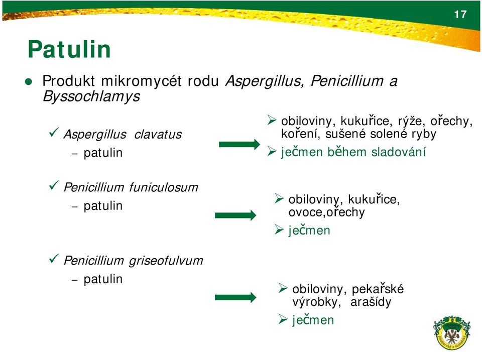 ječmen během sladování ü Penicillium funiculosum patulin ü Penicillium griseofulvum