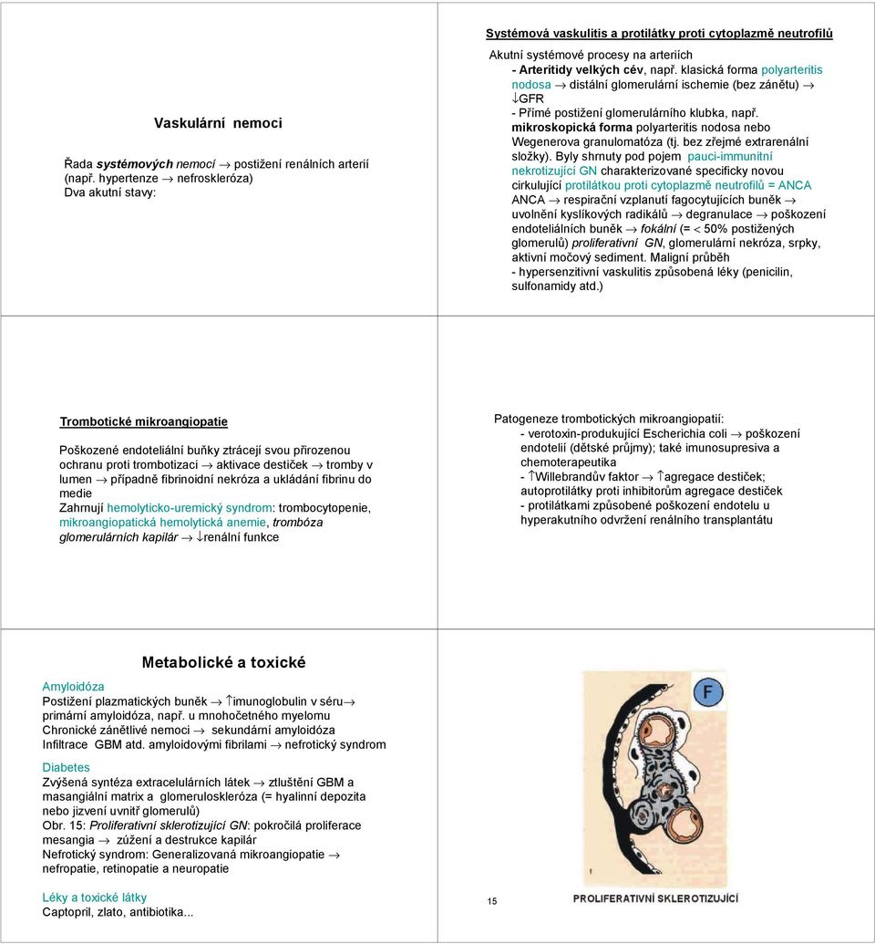 klasická forma polyarteritis nodosa distální glomerulární ischemie (bez zánětu) GFR -Přímé postižení glomerulárního klubka, např.