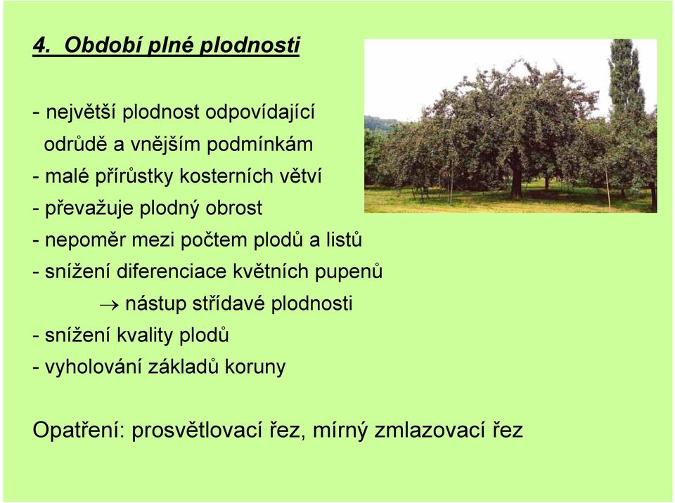 a listů - snížení diferenciace květních pupenů nástup střídavé plodnosti - snížení