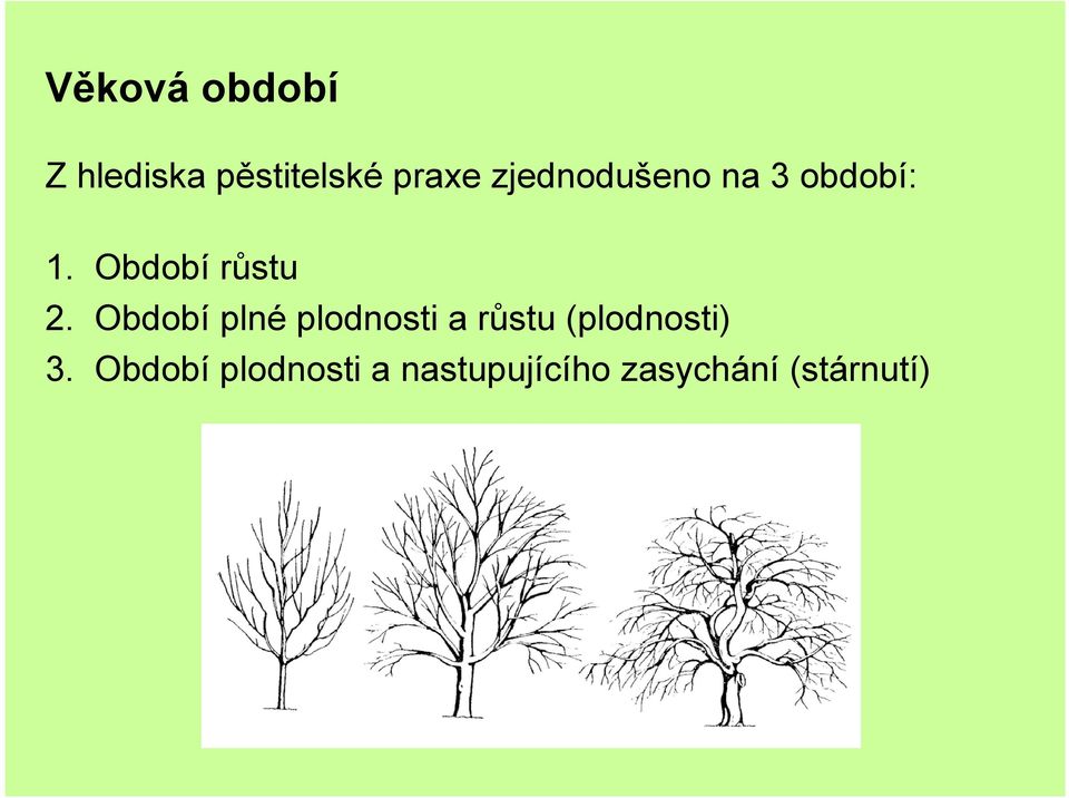 Období plné plodnosti a růstu (plodnosti) 3.