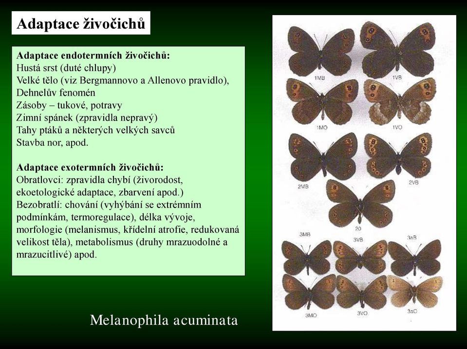 Adaptace exotermních živočichů: Obratlovci: zpravidla chybí (živorodost, ekoetologické adaptace, zbarvení apod.