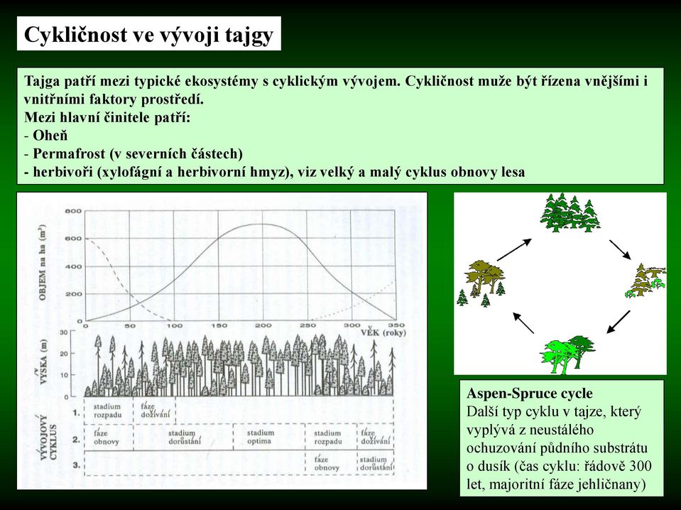 Mezi hlavní činitele patří: - Oheň - Permafrost (v severních částech) - herbivoři (xylofágní a herbivorní hmyz),