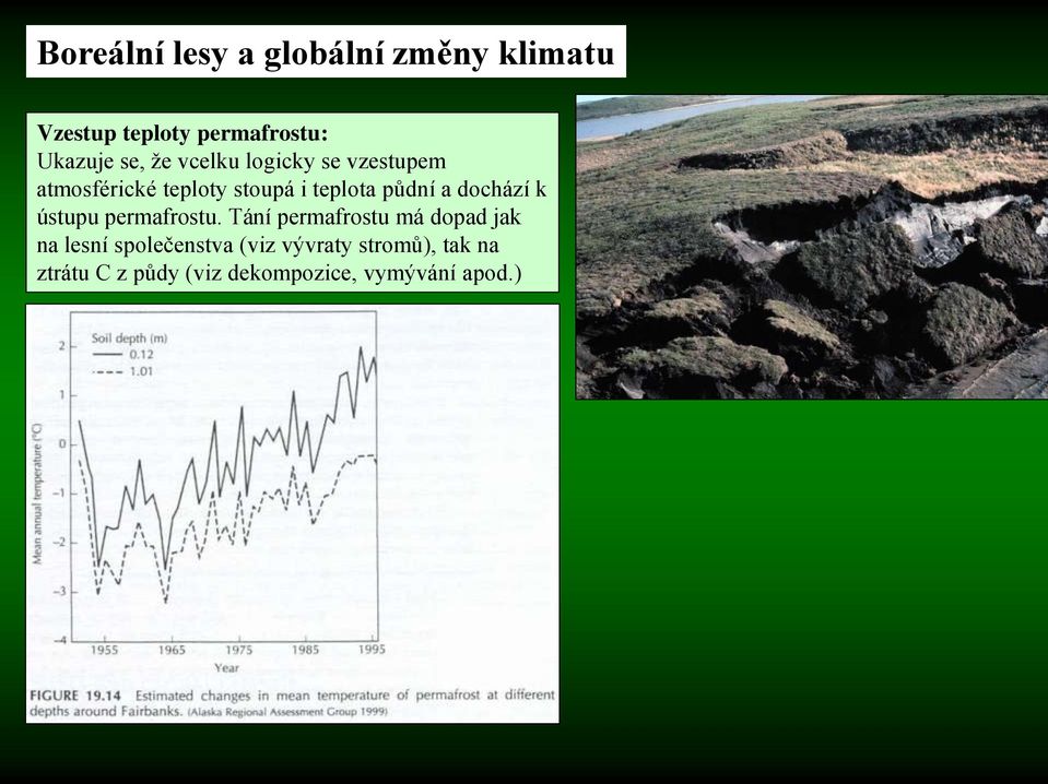 dochází k ústupu permafrostu.