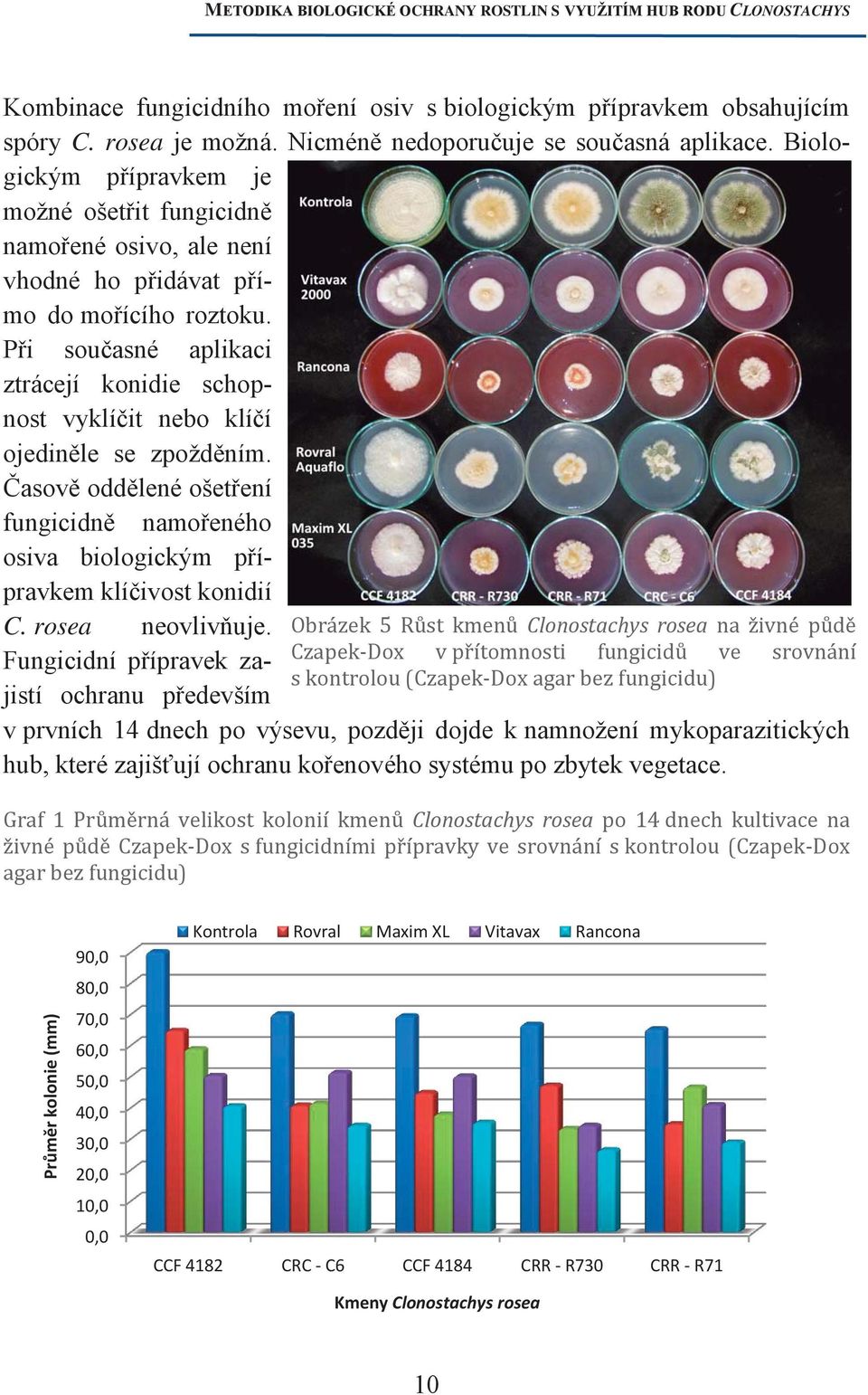 Při současné aplikaci ztrácejí konidie schopnost vyklíčit nebo klíčí ojediněle se zpožděním. Časově oddělené ošetření fungicidně namořeného osiva biologickým přípravkem klíčivost konidií C.