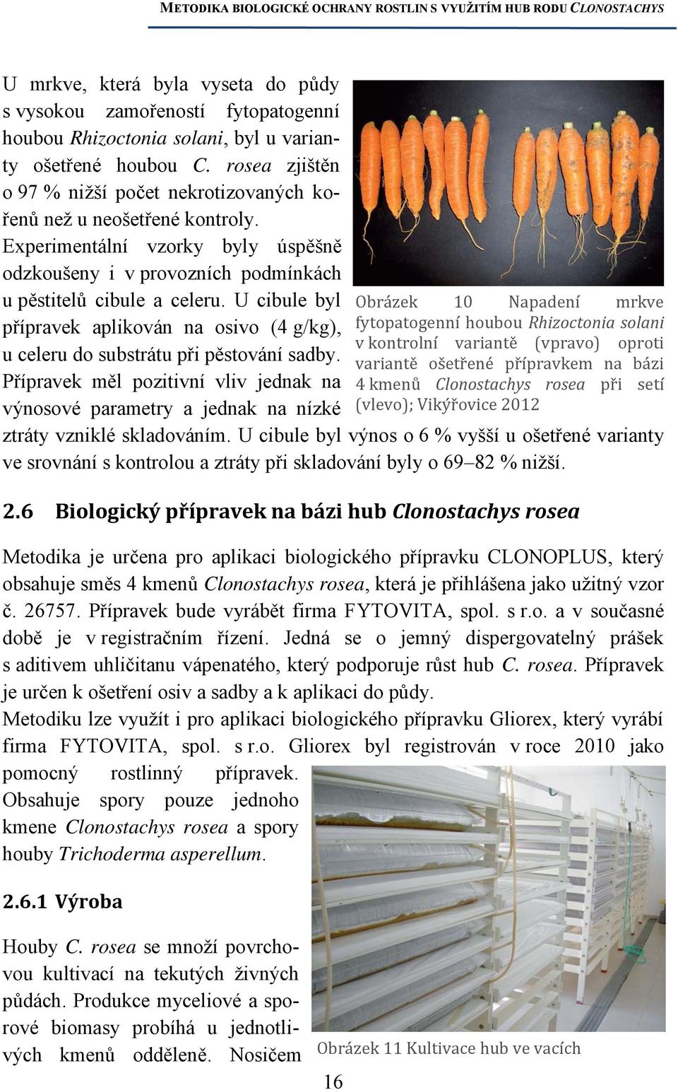 U cibule byl přípravek aplikován na osivo (4 g/kg), u celeru do substrátu při pěstování sadby. Přípravek měl pozitivní vliv jednak na výnosové parametry a jednak na nízké ztráty vzniklé skladováním.