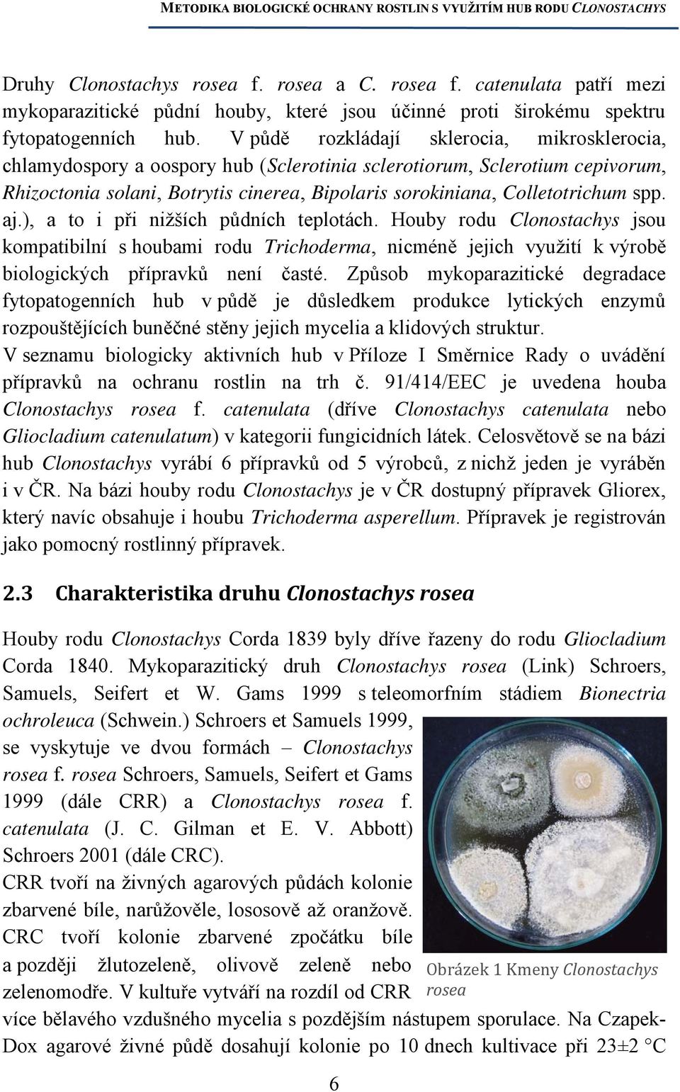 spp. aj.), a to i při nižších půdních teplotách. Houby rodu Clonostachys jsou kompatibilní s houbami rodu Trichoderma, nicméně jejich využití k výrobě biologických přípravků není časté.