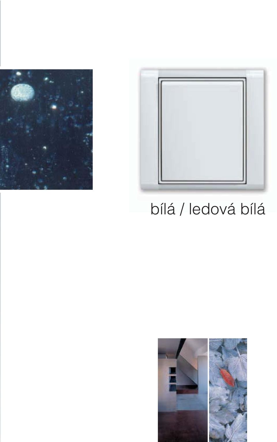 bílá