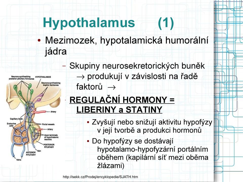 snižují aktivitu hypofýzy v její tvorbě a produkci hormonů Do hypofýzy se dostávají
