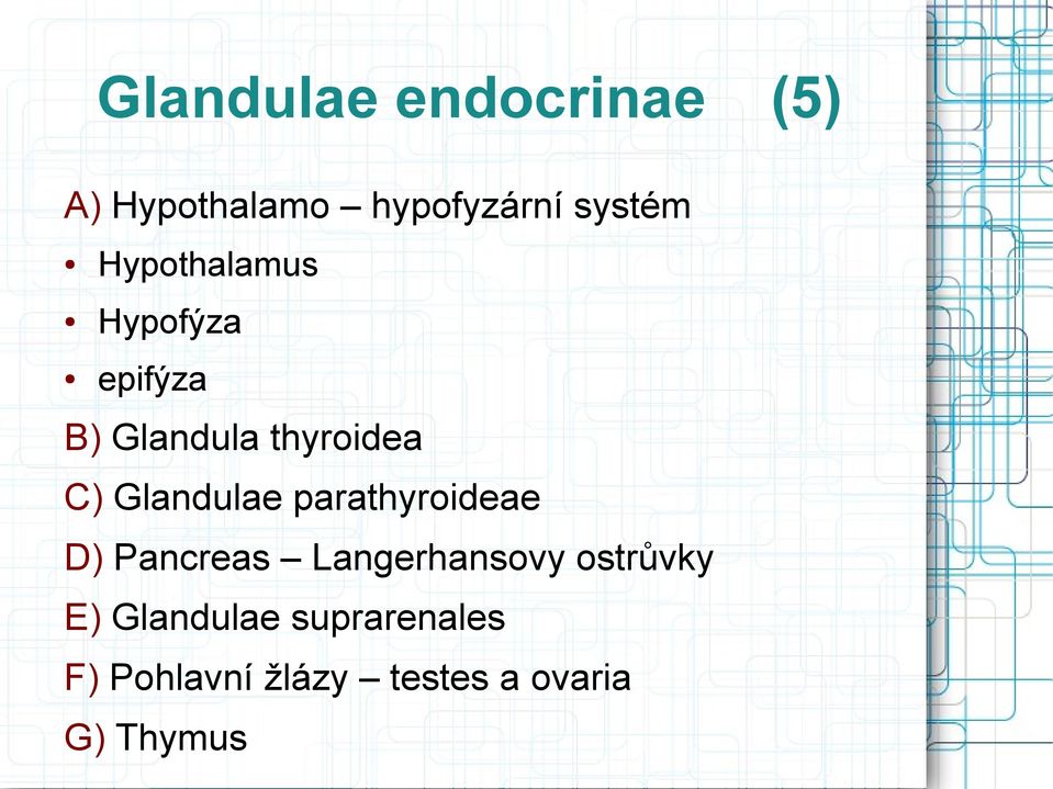 Glandulae parathyroideae D) Pancreas Langerhansovy ostrůvky