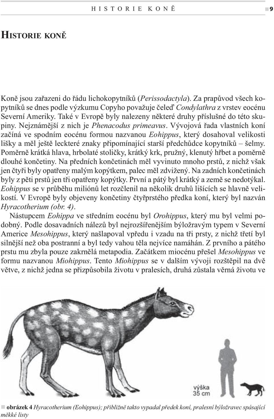 Nejznámější z nich je Phenacodus primeavus.