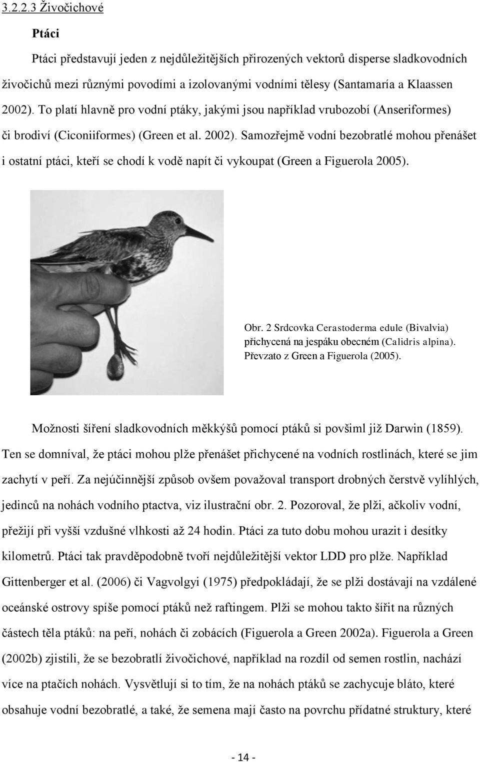 Samozřejmě vodní bezobratlé mohou přenášet i ostatní ptáci, kteří se chodí k vodě napít či vykoupat (Green a Figuerola 2005). Obr.