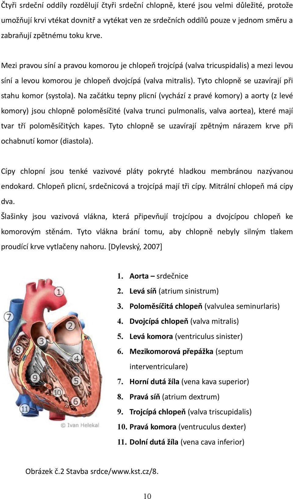 Tyto chlopně se uzavírají při stahu komor (systola).