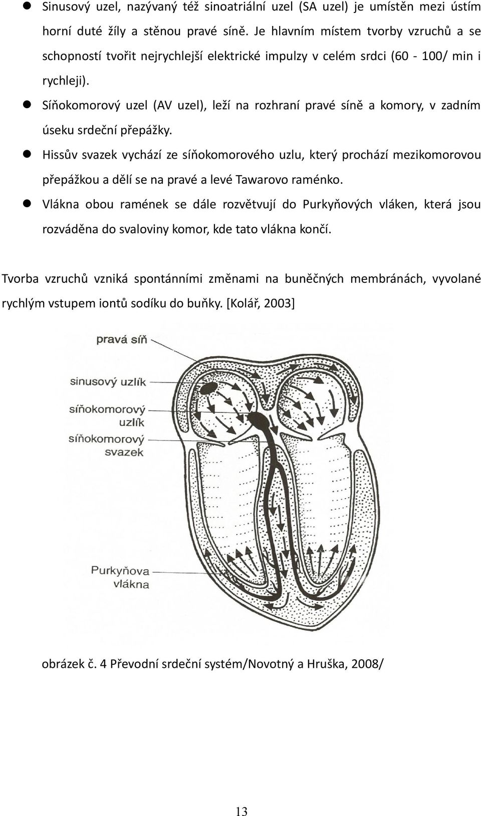 Síňokomorový uzel (AV uzel), leží na rozhraní pravé síně a komory, v zadním úseku srdeční přepážky.