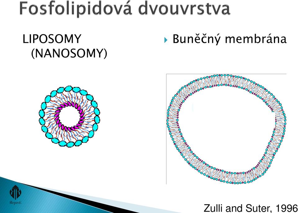 LIPOSOMY