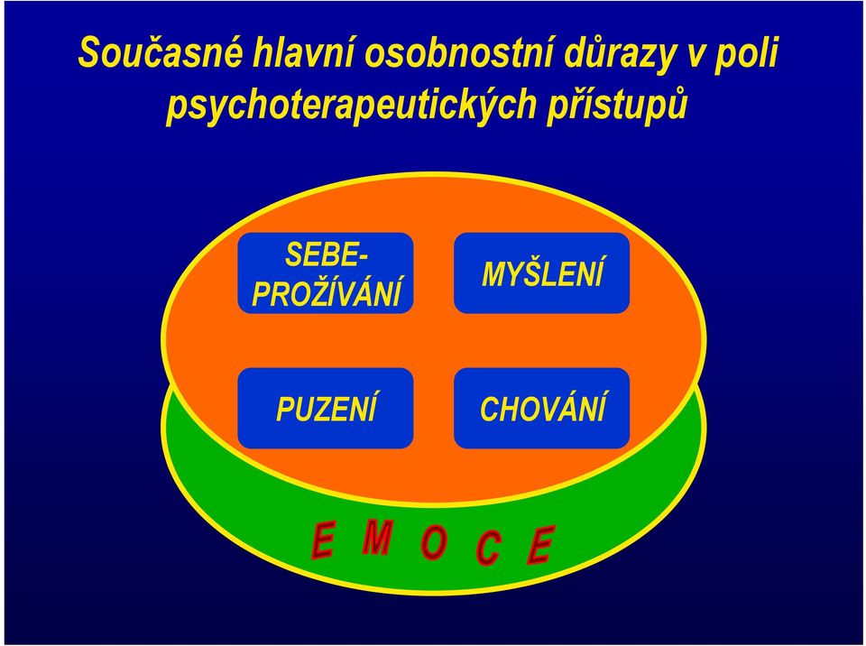 psychoterapeutických