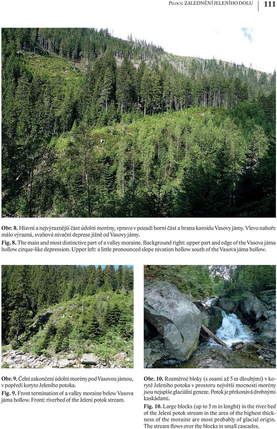 Background right: upper part and edge of the Vasova jáma hollow cirque-like depression. Upper left: a little pronounced slope nivation hollow south of the Vasova jáma hollow. Obr. 9.