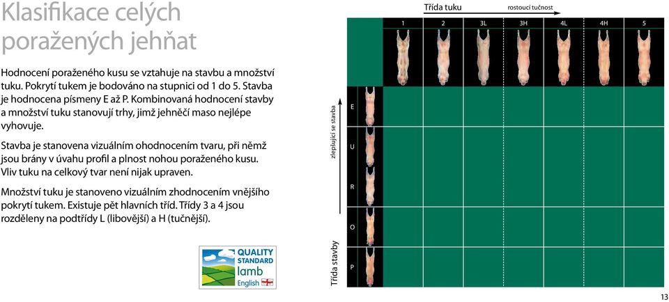 Kombinovaná hodnocení stavby a množství tuku stanovují trhy, jimž jehněčí maso nejlépe vyhovuje.