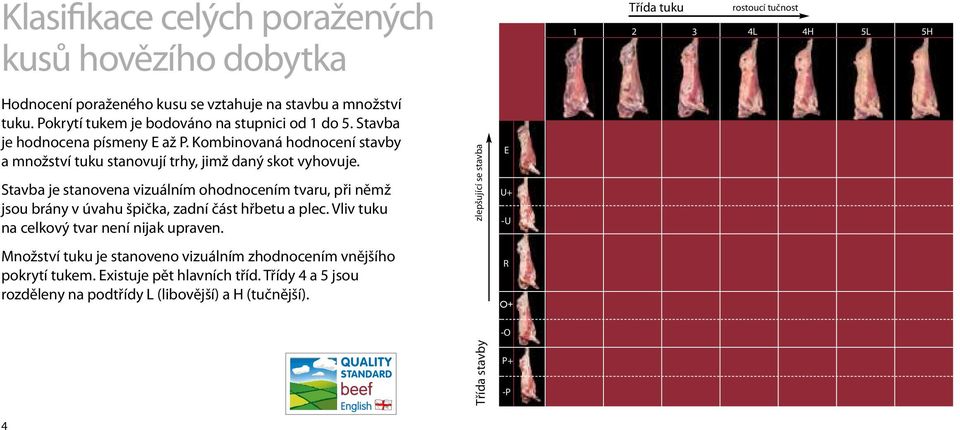 Stavba je stanovena vizuálním ohodnocením tvaru, při němž jsou brány v úvahu špička, zadní část hřbetu a plec. Vliv tuku na celkový tvar není nijak upraven.