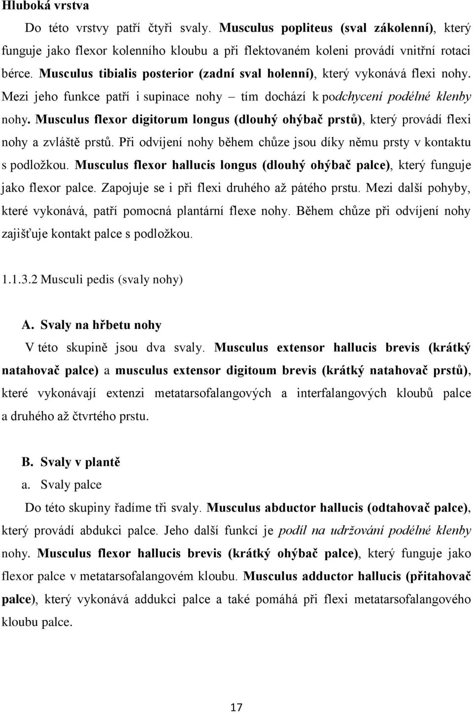 Musculus flexor digitorum longus (dlouhý ohýbač prstů), který provádí flexi nohy a zvláště prstů. Při odvíjení nohy během chůze jsou díky němu prsty v kontaktu s podložkou.