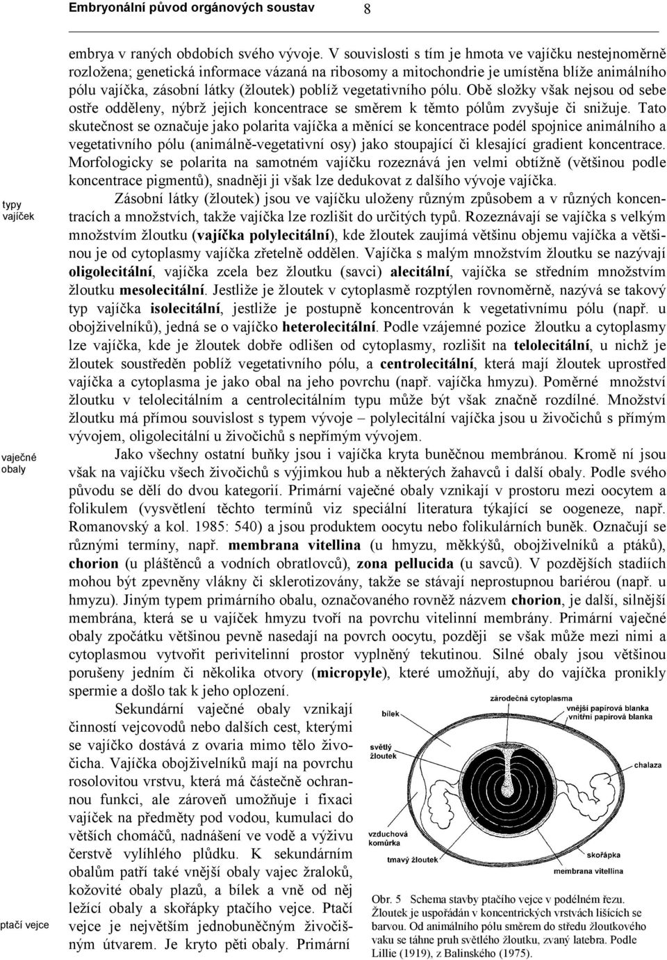 vegetativního pólu. Obě složky však nejsou od sebe ostře odděleny, nýbrž jejich koncentrace se směrem k těmto pólům zvyšuje či snižuje.