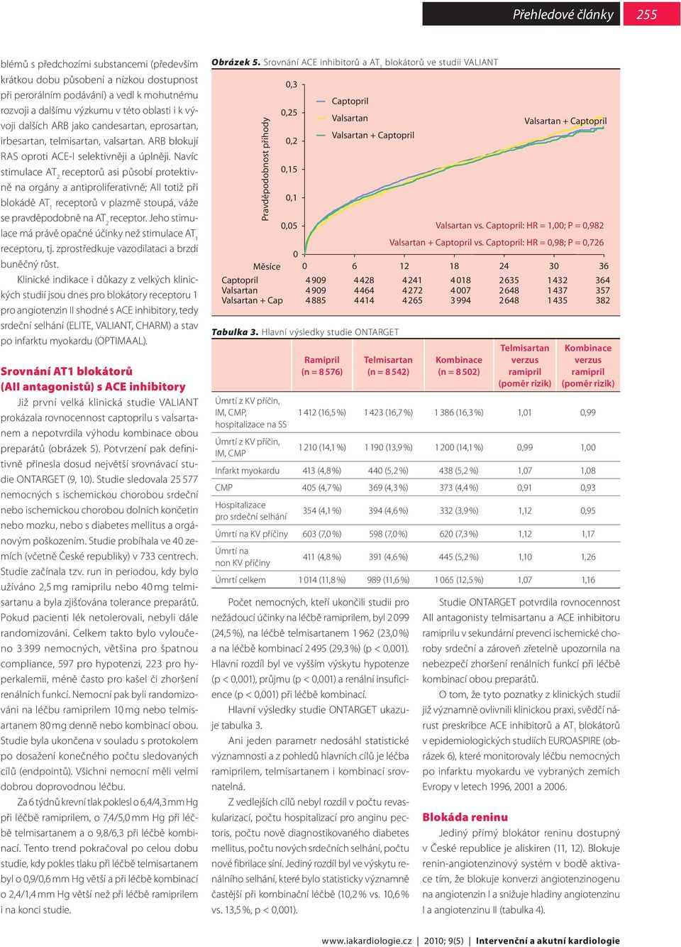 Navíc stimulace AT 2 receptorů asi působí protektivně na orgány a antiproliferativně; AII totiž při blokádě AT 1 receptorů v plazmě stoupá, váže se pravděpodobně na AT 2 receptor.