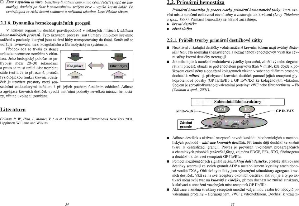 Dynamika hemokoagulačníchprocesů V lidském organismu dochází pravděpodobně v některých místech k aktivaci hemostatickycli proces ů.