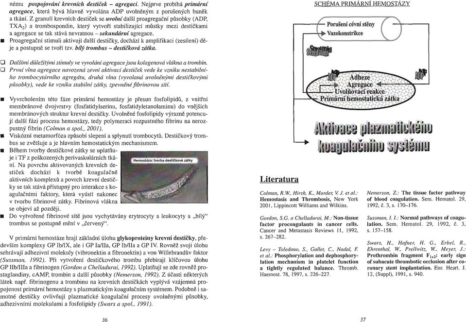 sekundární agregace. Pro agre g ačn í stimuli aktivují další de sti č k y, dochází k amplifikaci (zesílení) dě je a postupn ě se t v o ří tzv. bl1ý trombus - destičko vá zátka.