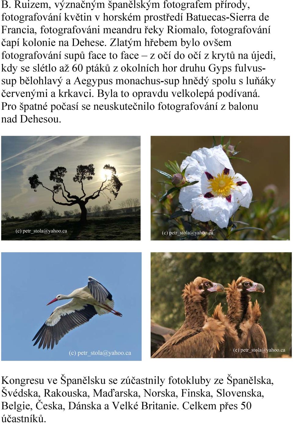 Zlatým hřebem bylo ovšem fotografování supů face to face z očí do očí z krytů na újedi, kdy se slétlo až 60 ptáků z okolních hor druhu Gyps fulvussup bělohlavý a Aegypus